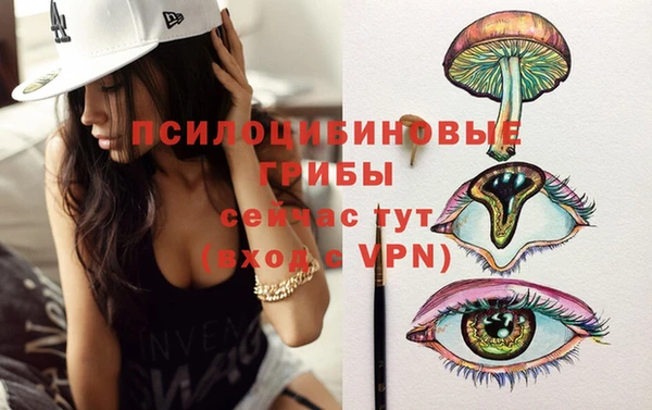 круглые Алексеевка