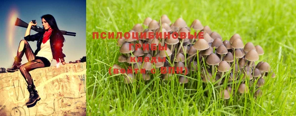 a pvp Покачи