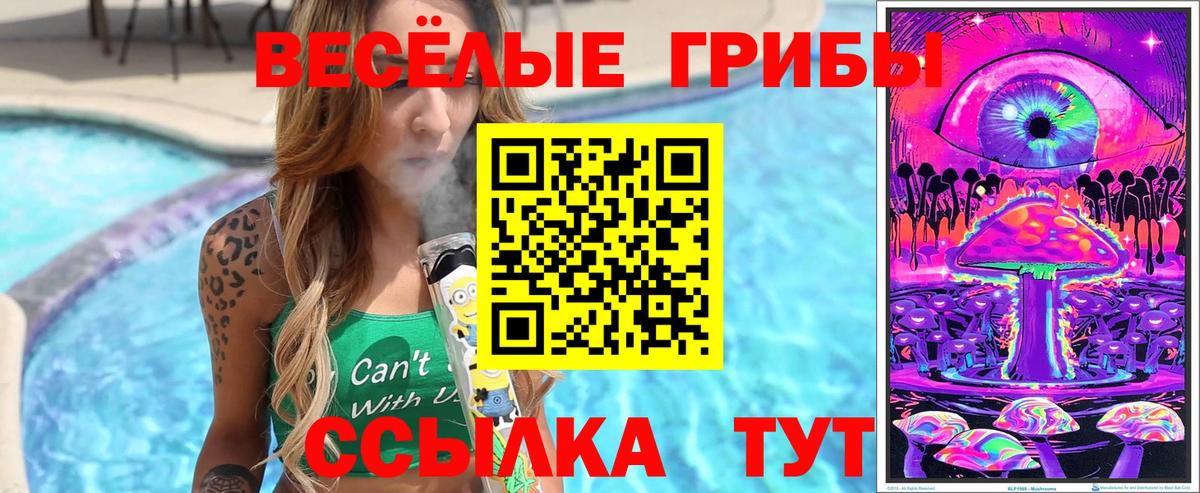 Галлюциногенные грибы ЛСД  Вход с VPN  Галлюциногенные грибы Psilocybine cubensis  Полевской 